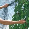Madárkár és galamb elleni háló 5 x 6 m
