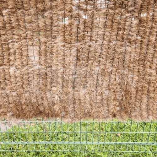 COCONATUR természetes kókuszrost belátásorlátozó  1x3m  natúr
