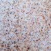 Vasalt műkő fedlap 5-7 cm vastag, vízorral 20 cm szélességig vörös